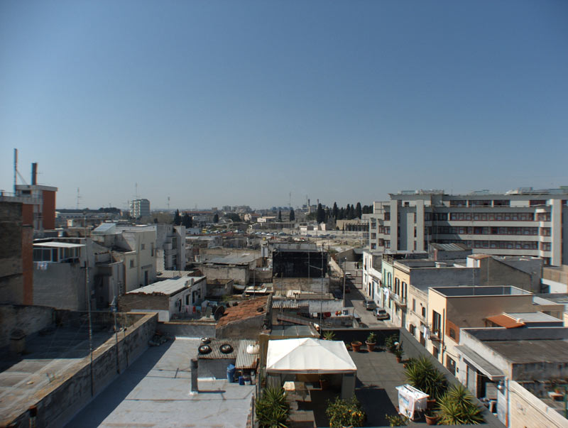 DSCF2454raynox.jpg