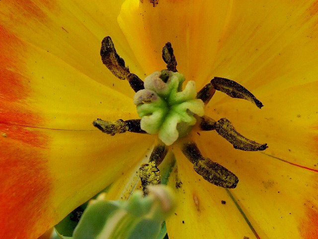 DSCF2472.JPG
