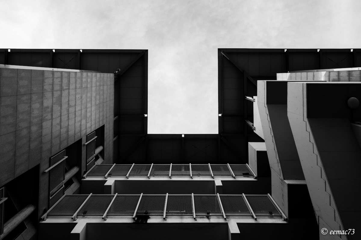 DSCF2476-1-2.JPG