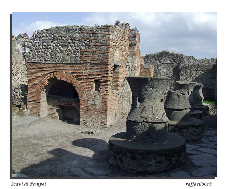 DSCF2490.jpg