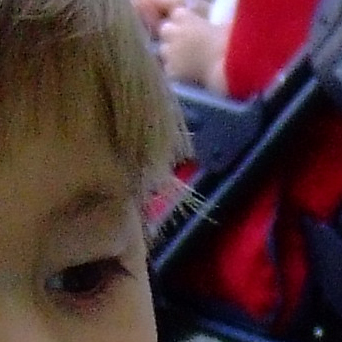 DSCF2508_crop.jpg