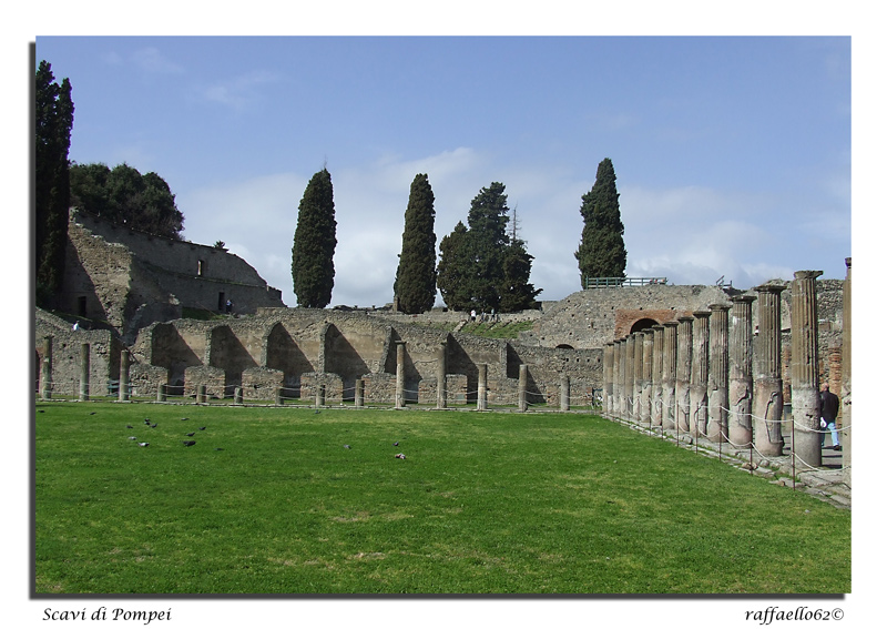 DSCF2511.jpg