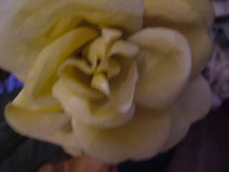 DSCF2517.JPG
