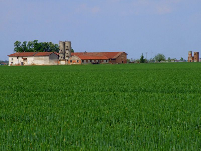 DSCF2531-1.JPG