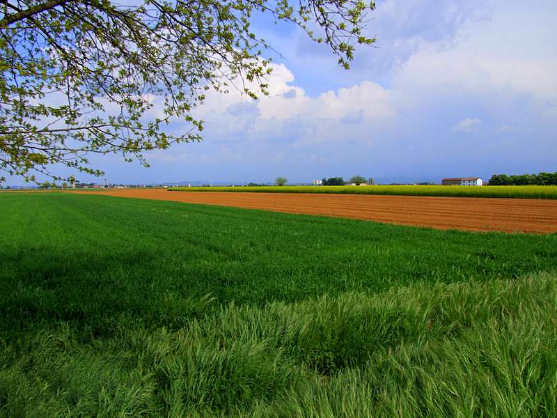 DSCF2539-1.JPG