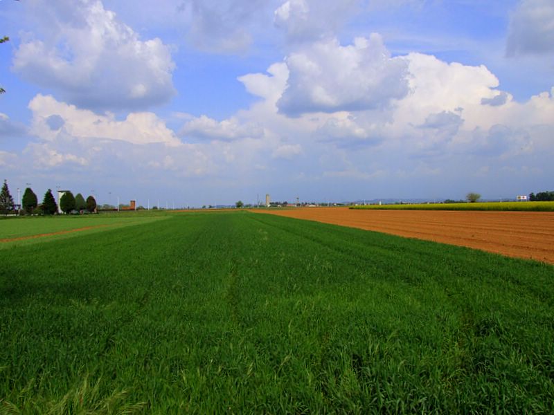 DSCF2540-1.JPG