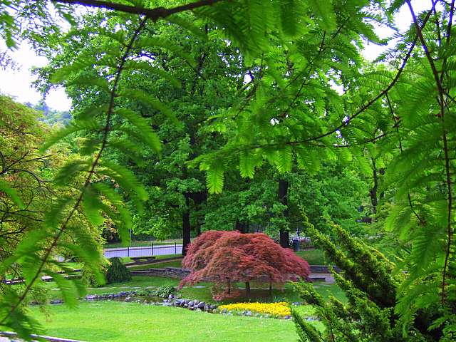 DSCF2544.JPG