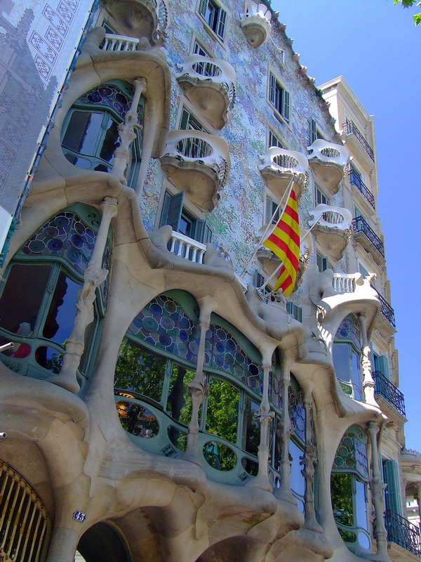 DSCF2565.jpg