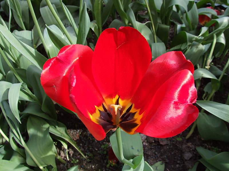 DSCF2573.JPG