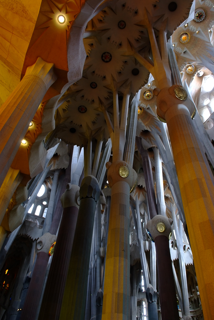 DSCF2580_1.jpg