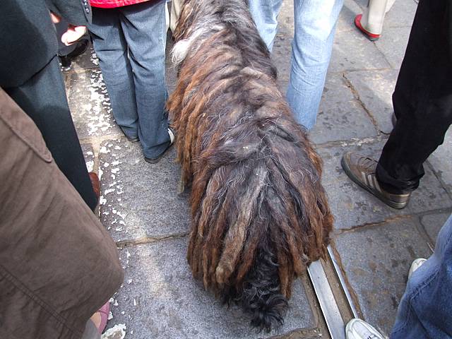 DSCF2612.JPG