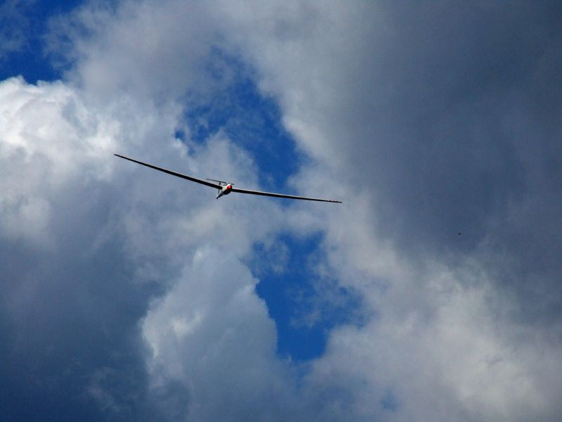 DSCF2613.jpg