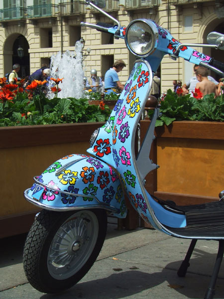 DSCF2617.jpg