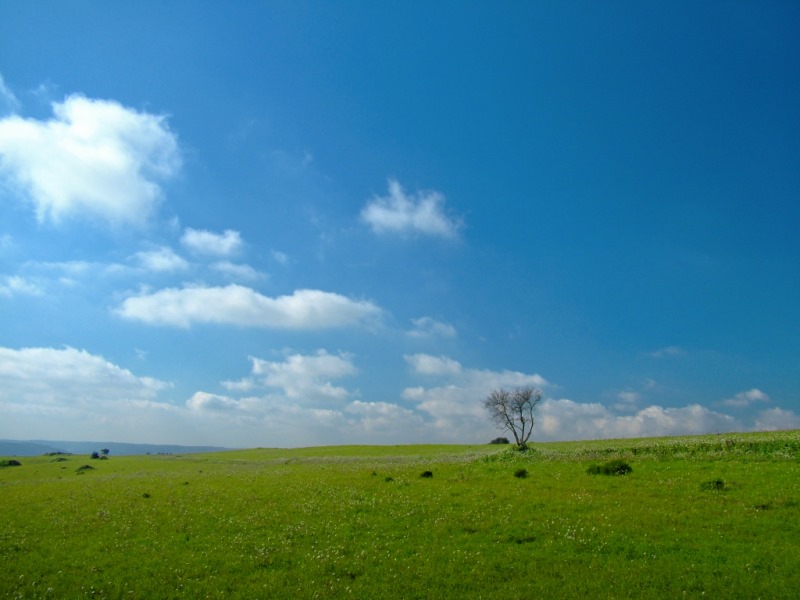 DSCF2624_web.jpg