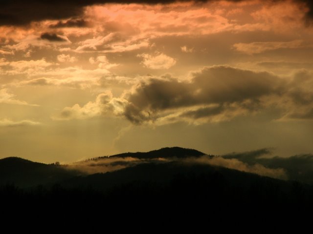 DSCF2709.JPG