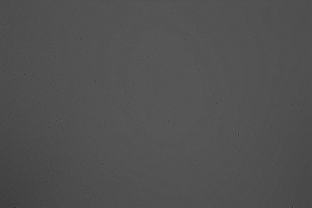 DSCF2843.jpg