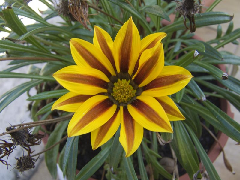 DSCF2858.jpg