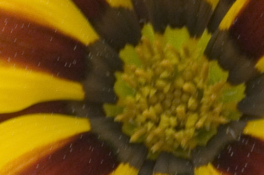 DSCF2858ritaglio.jpg