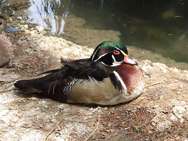 DSCF2893-1.JPG