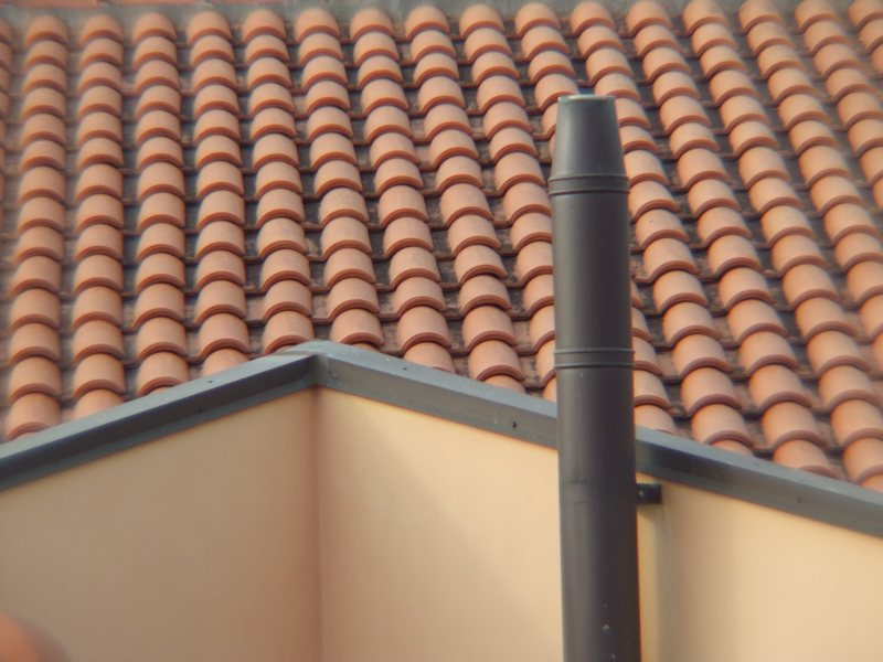 DSCF2955.JPG