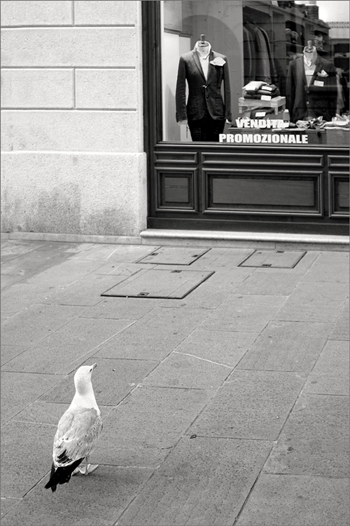 DSCF2962 ok 1280 bn 750.jpg