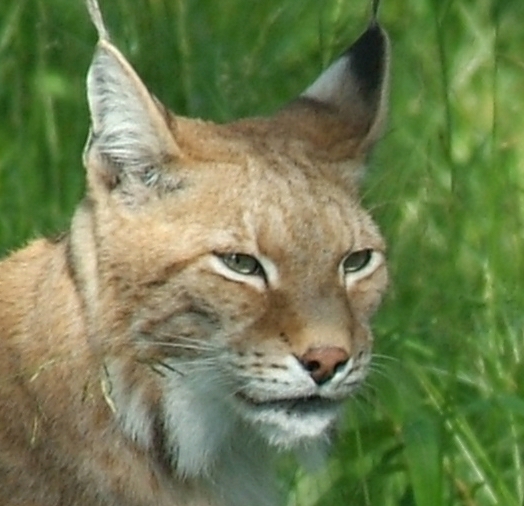 DSCF3020.jpg