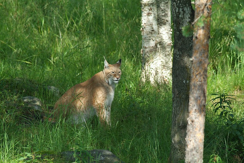 DSCF3020web.jpg