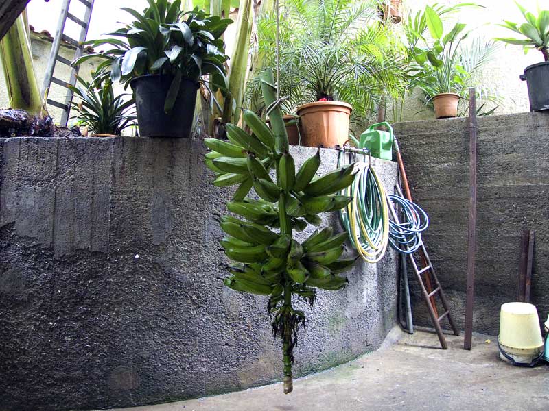 DSCF3049.jpg