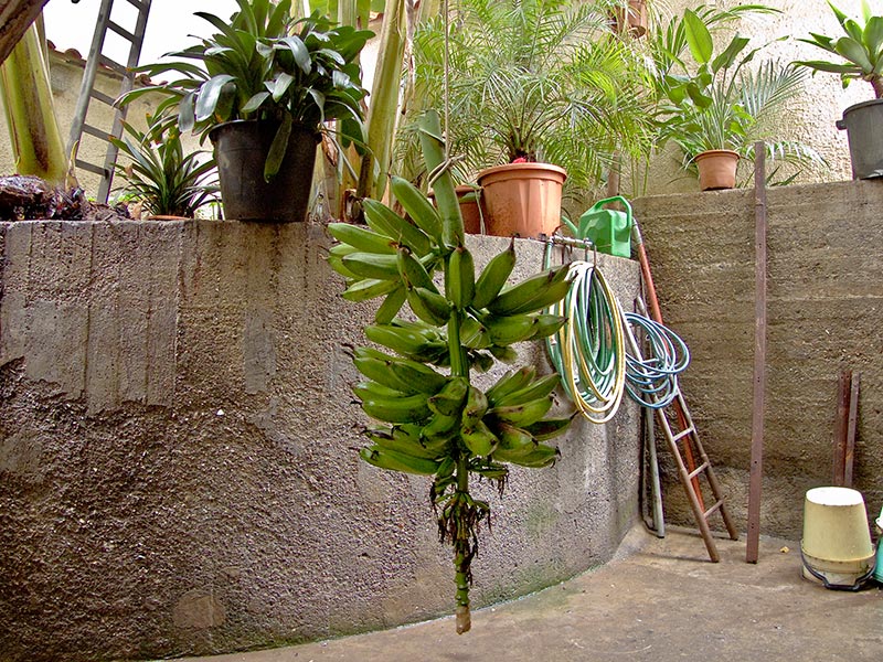 DSCF3049.jpg