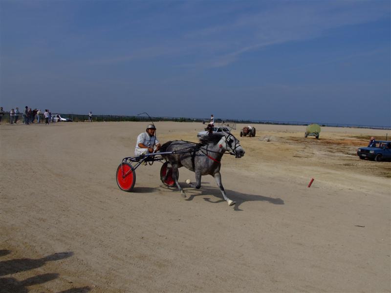 DSCF3059 (Medium).JPG
