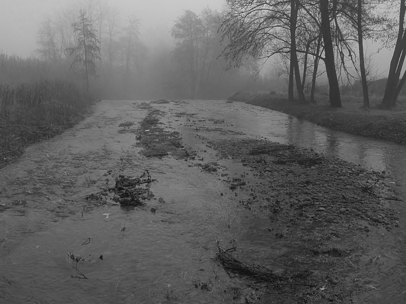 DSCF3072800bn.jpg