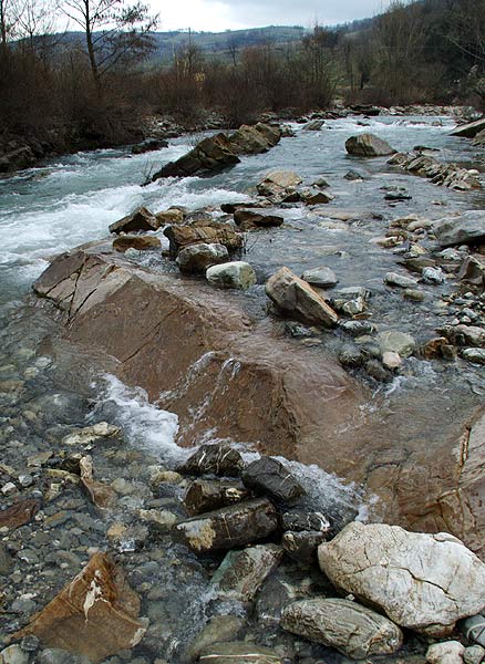 DSCF3149.jpg