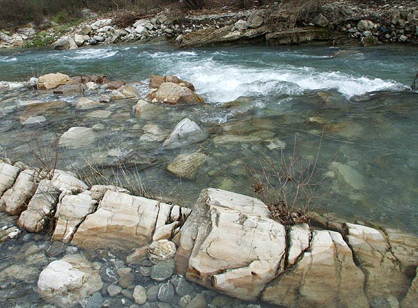 DSCF3158.jpg