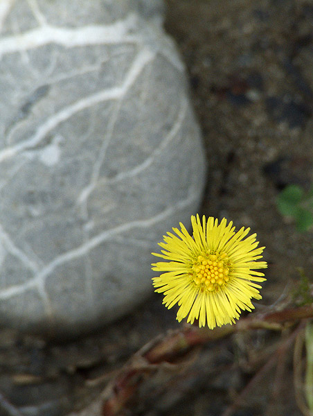 DSCF3168.jpg