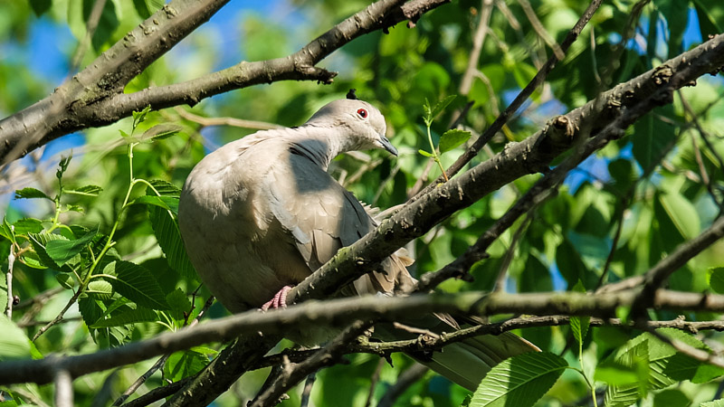 DSCF3179-2.jpg