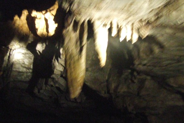 DSCF3180.JPG