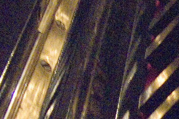 DSCF3243ritaglio.jpg