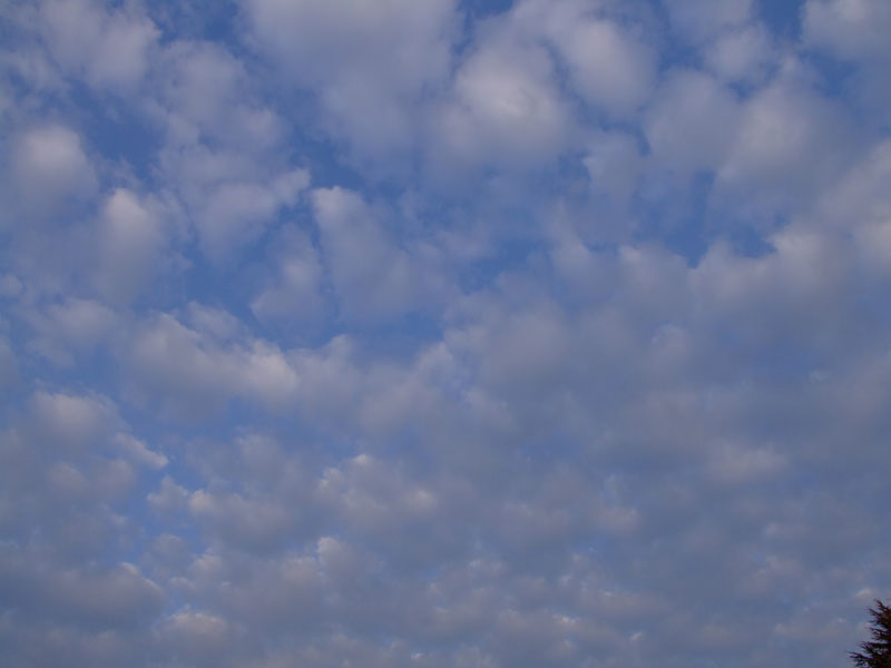 DSCF3322.jpg