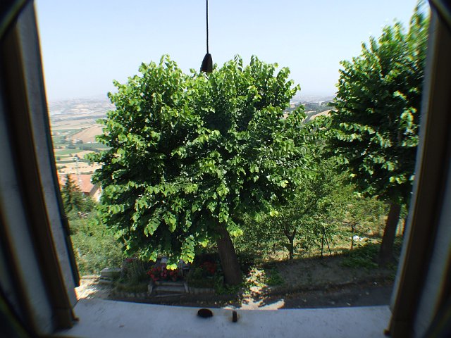 DSCF3330_19.jpg