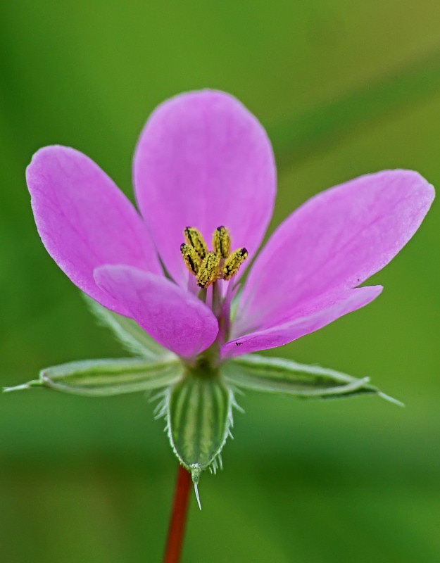 DSCF3397_C.jpg