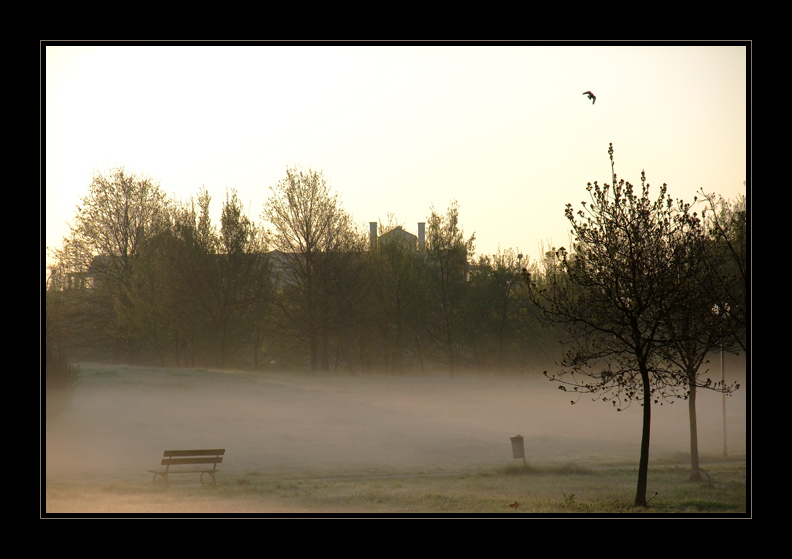 DSCF3411.jpg