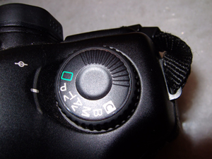 DSCF3414a.jpg