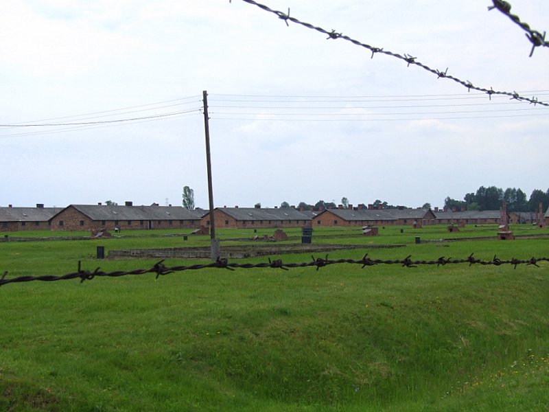 DSCF3440-3.JPG