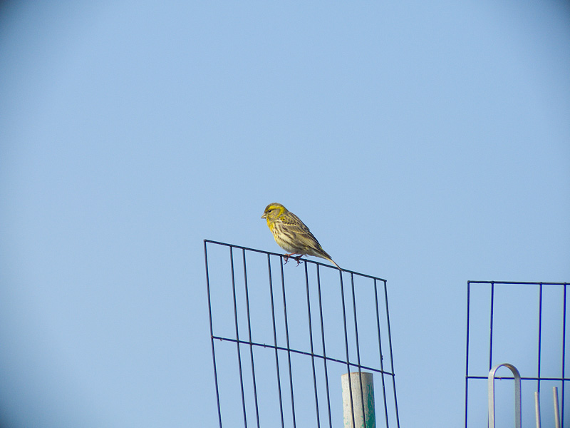 DSCF3472.jpg