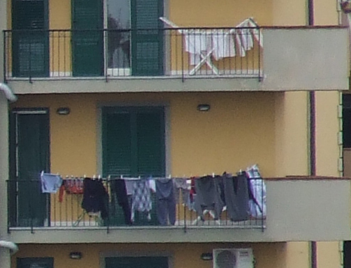 DSCF3494-crop.jpg