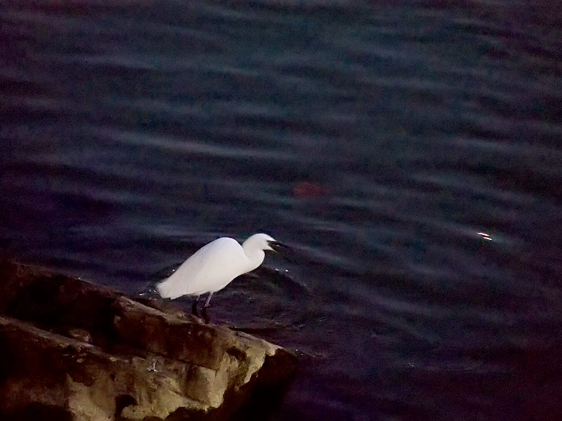 dscf3511.jpg
