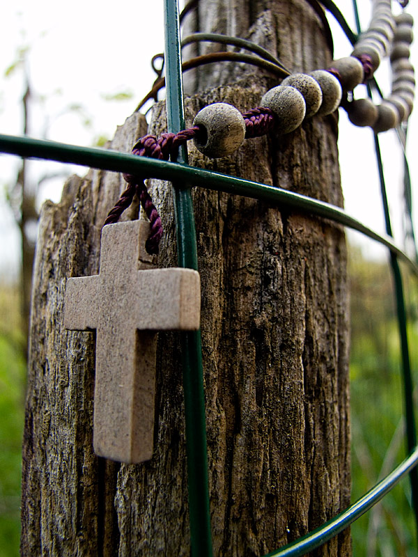 DSCF3590.jpg
