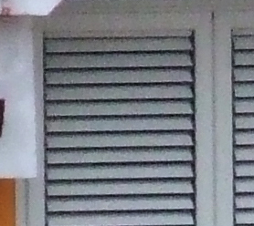 DSCF3594crop1.jpg