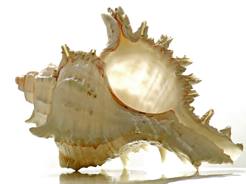 DSCF3606.jpg