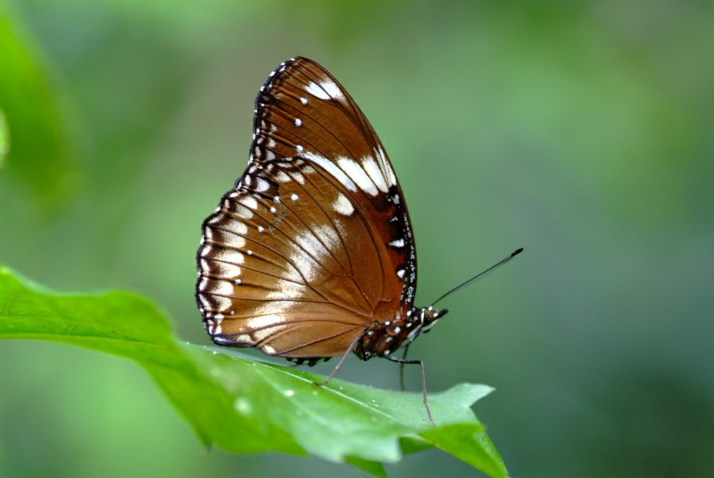DSCF3671.JPG